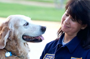 Собака-героиня, спасавшая людей после событий 11 сентября, отметила свое 16-летие