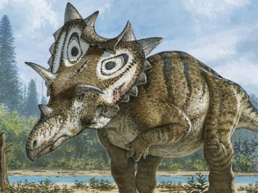 Палеонтолог-любитель обнаружил неизвестного ранее динозавра