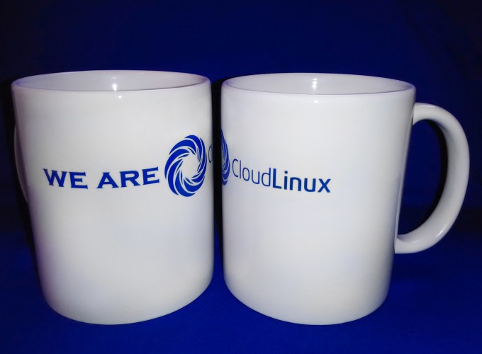 Интервью с работодателем CloudLinux: «Бесплатных обедов у нас нет, зато мы работаем в своем стиле жизни»