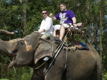 TripAdvisor пытается удержать туристов от эксплуатации диких животных