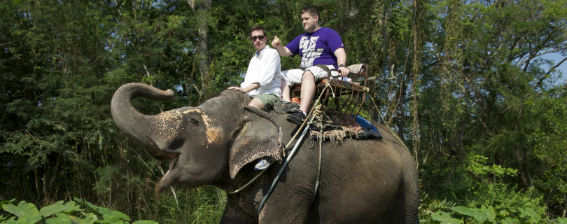 TripAdvisor пытается удержать туристов от эксплуатации диких животных