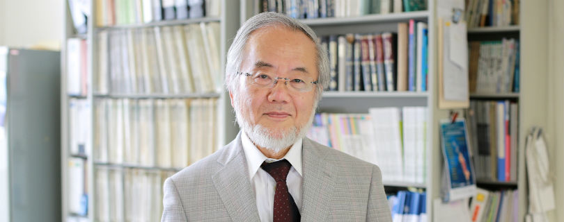 Нобелевскую премию по медицине присудили японскому исследователю