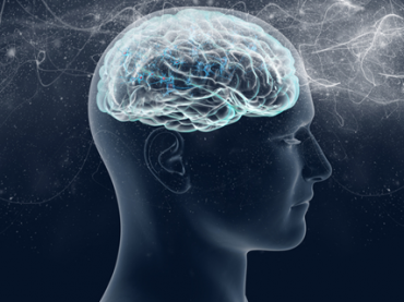 Сила мысли: 5 выступлений о том, как работает наш мозг и память