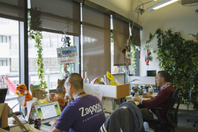 Доставляет ли Zappos счастье своим сотрудникам: колонка директора по устойчивому развитию ДТЭК Александра Кучеренко
