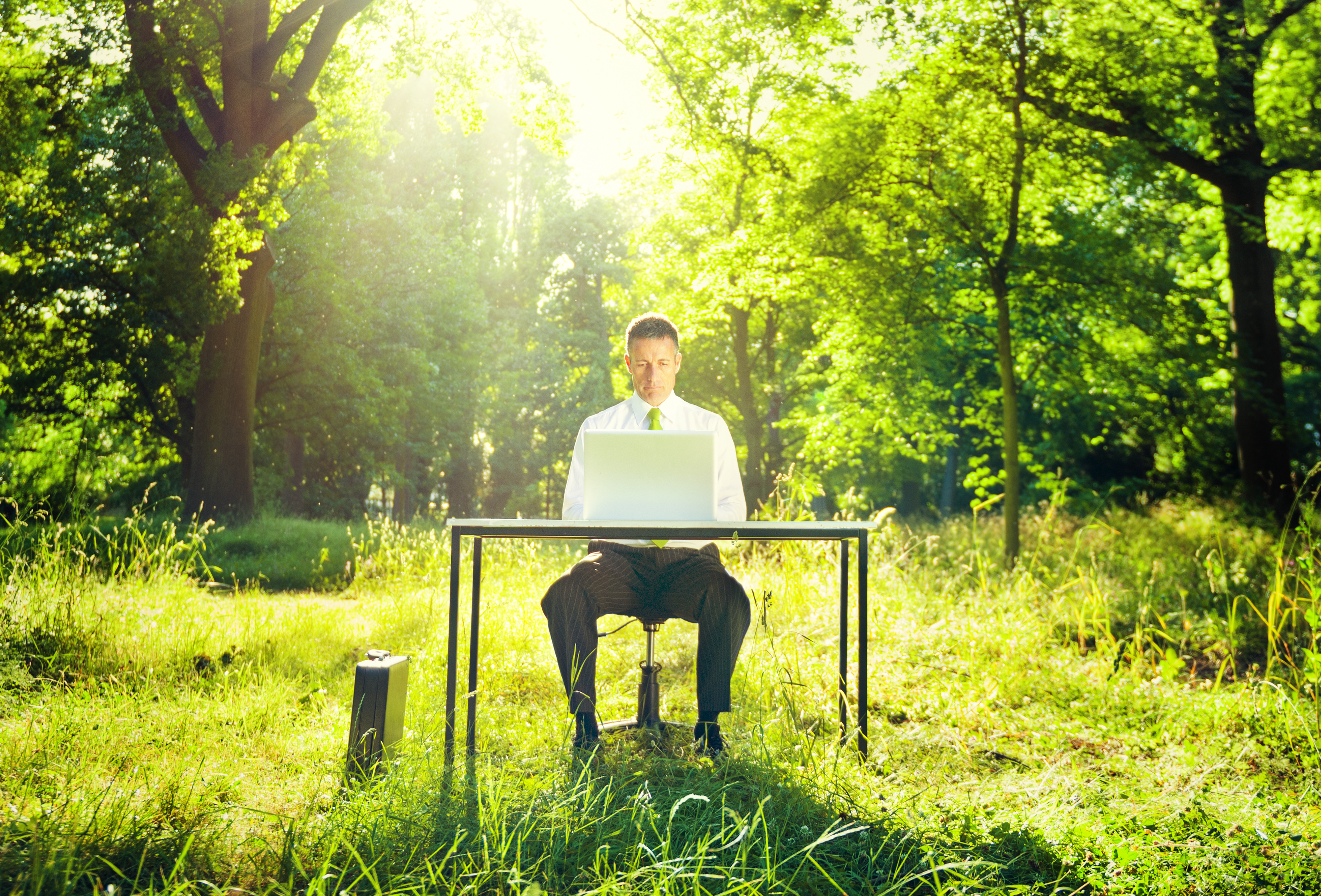 П’ять «зелених» звичок: як стати еко-френдлі в офісі?